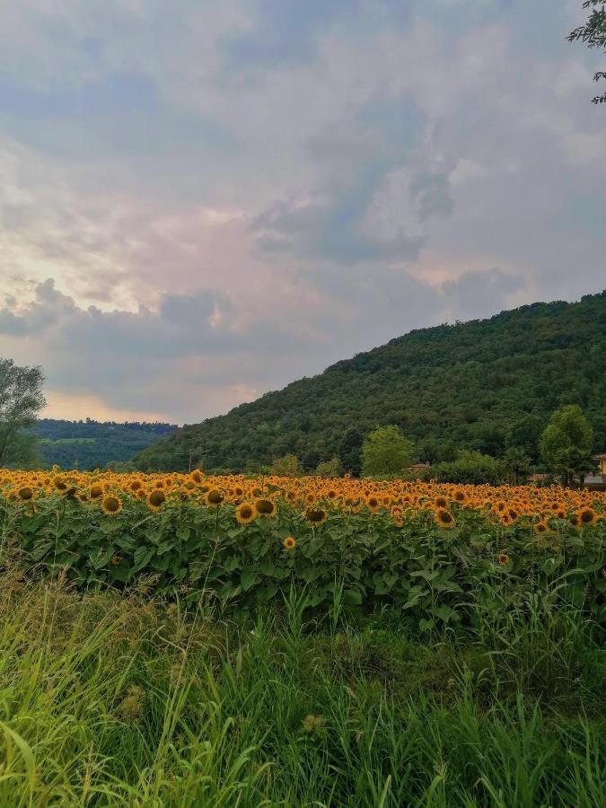 Ca' Dei Berici - Residence Ad Arcugnano Grancare Zewnętrze zdjęcie
