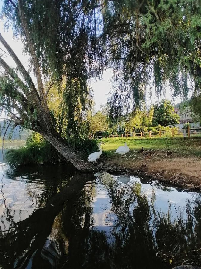 Ca' Dei Berici - Residence Ad Arcugnano Grancare Zewnętrze zdjęcie