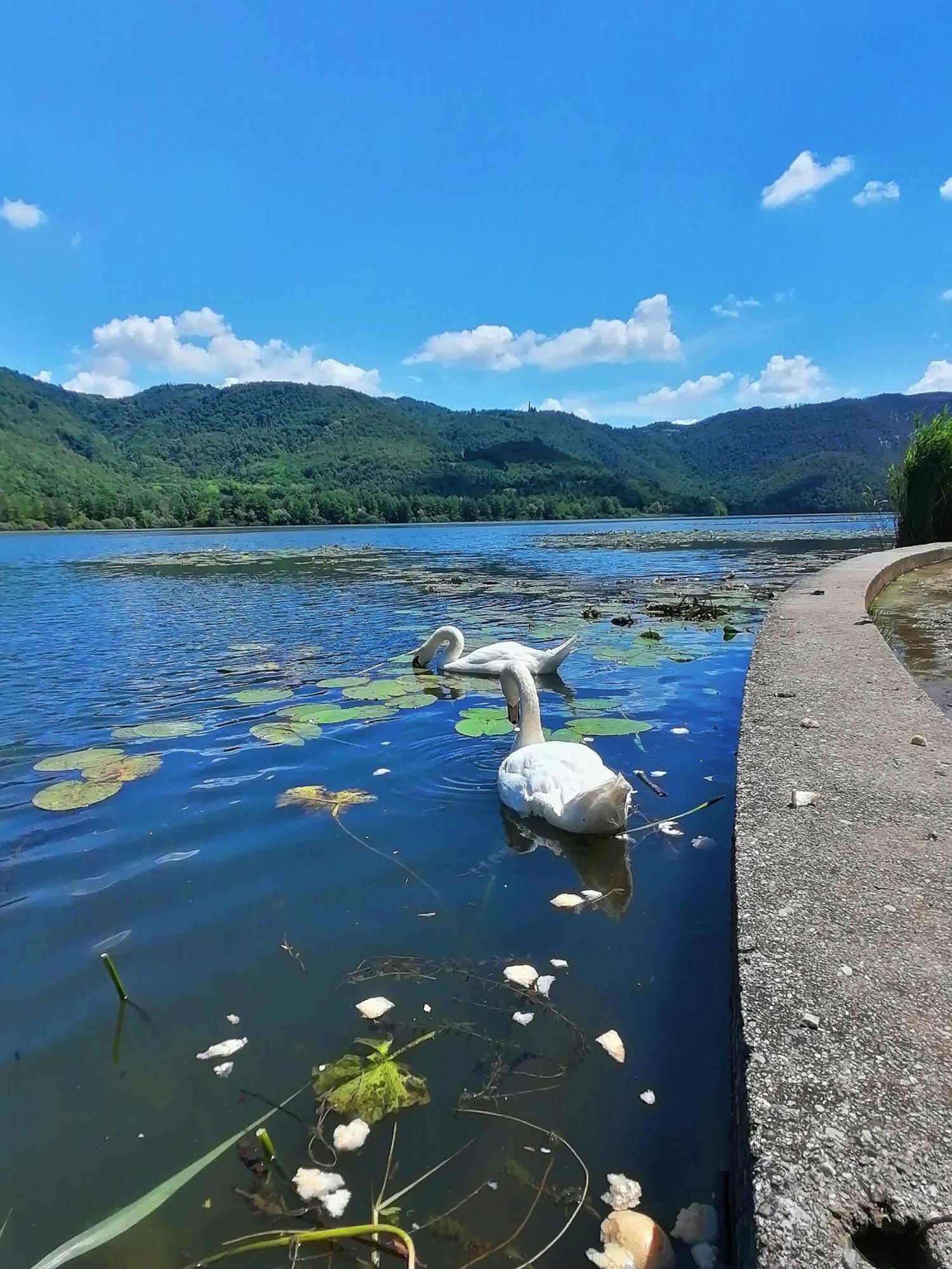 Ca' Dei Berici - Residence Ad Arcugnano Grancare Pokój zdjęcie