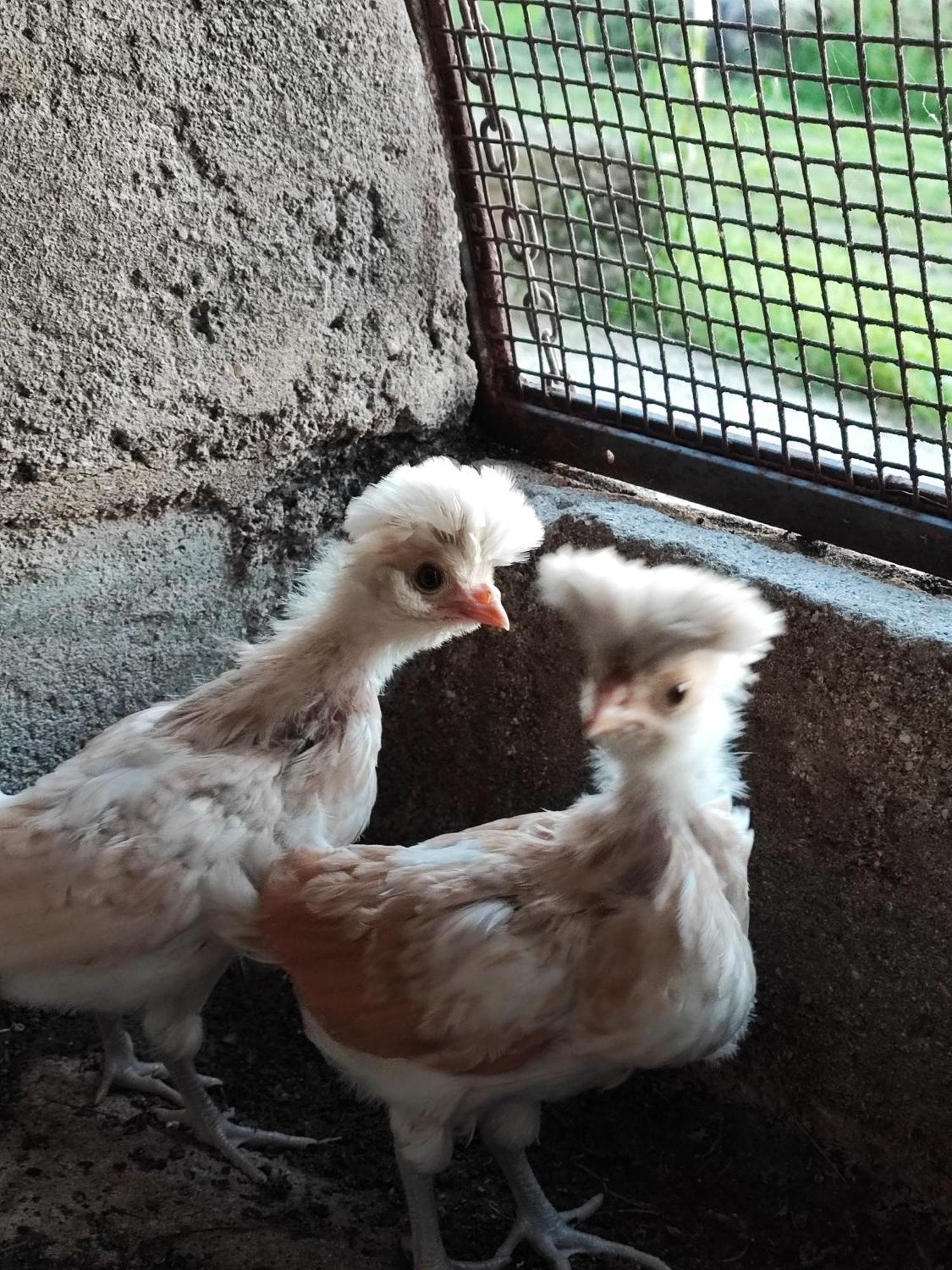 Ca' Dei Berici - Residence Ad Arcugnano Grancare Pokój zdjęcie